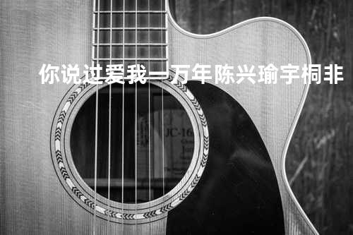 你说过爱我一万年 - 陈兴瑜&宇桐非