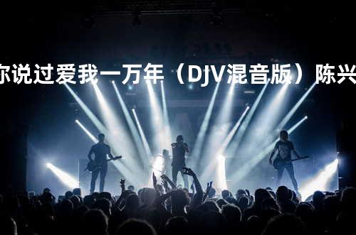 你说过爱我一万年(DJV混音版) - 陈兴瑜