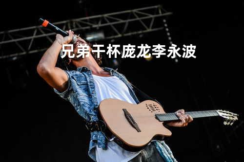 兄弟干杯 - 庞龙&李永波