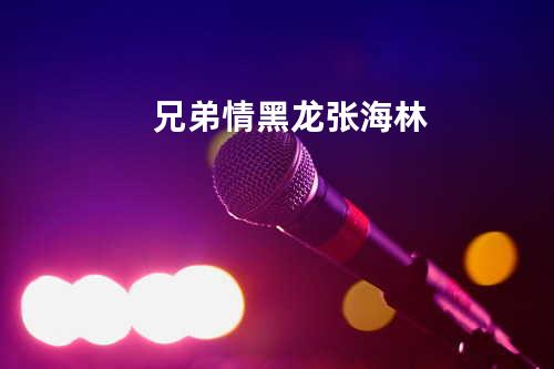 兄弟情 - 黑龙&张海林