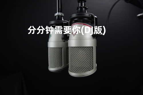 分分钟需要你 (DJ版)