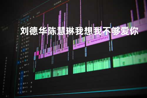 刘德华&陈慧琳-我想我不够爱你