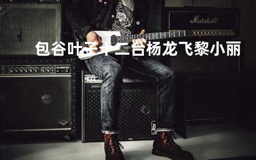 包谷叶子十二台 - 杨龙飞&黎小丽