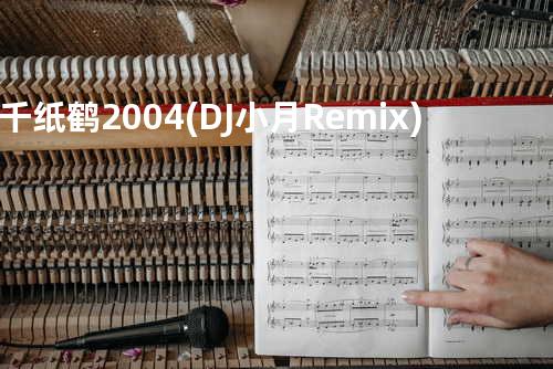 千纸鹤2004 (DJ小月Remix)