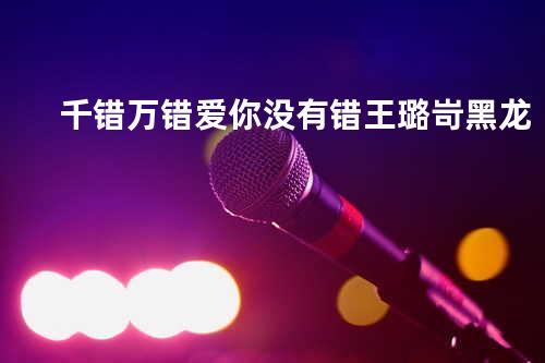 千错万错爱你没有错 - 王璐岢&黑龙