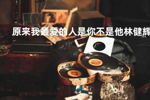 原来我最爱的人是你不是他 - 林健辉