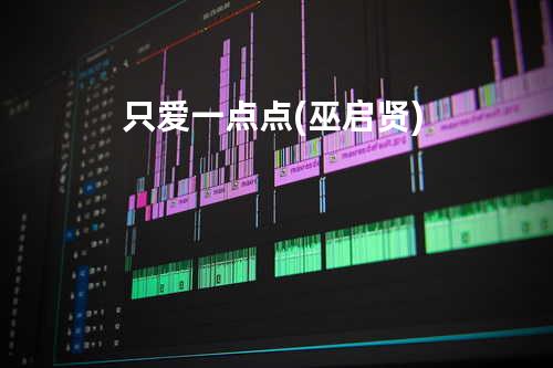 只爱一点点(巫启贤)