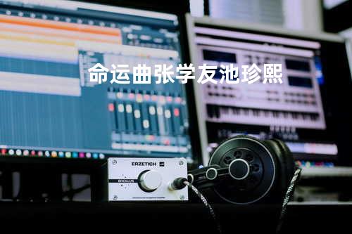 命运曲 - 张学友/池珍熙