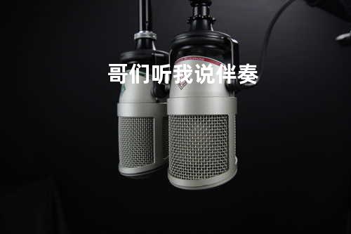 哥们听我说伴奏