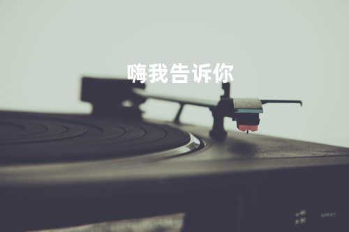 嗨我告诉你