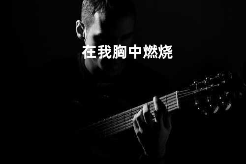 在我胸中燃烧