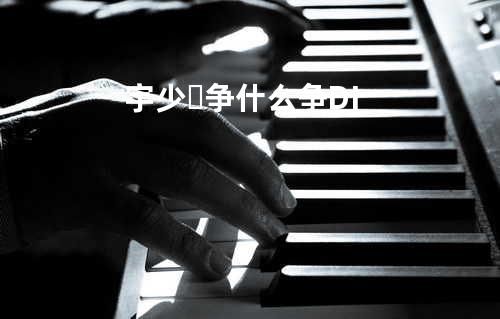 宇少✔争什么争DJ