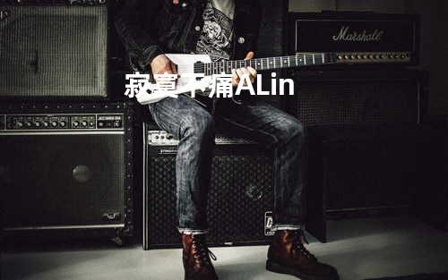 寂寞不痛 - A-Lin