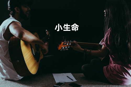 小生命