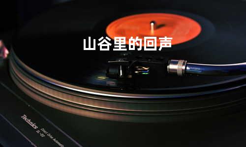 山谷里的回声