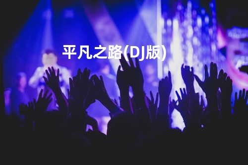 平凡之路 (DJ版)