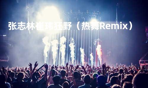 张志林&崔玮-狂野(热舞Remix)