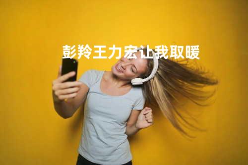 彭羚&王力宏 - 让我取暖