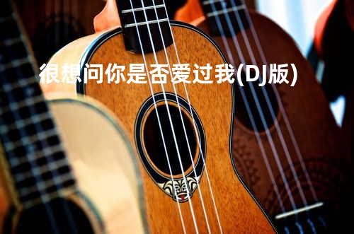 很想问你是否爱过我 (DJ版)