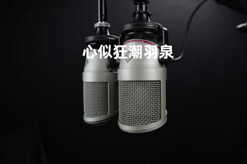 心似狂潮 - 羽泉