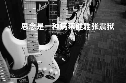 思念是一种病 - 蔡健雅/张震狱