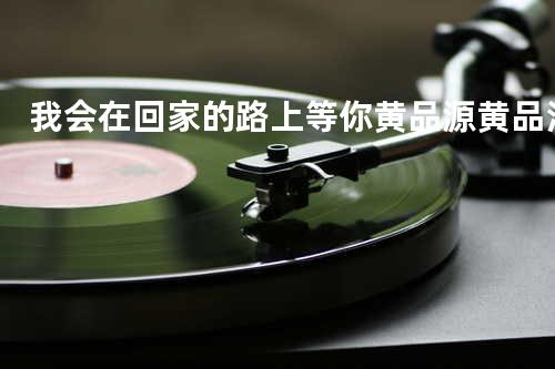 我会在回家的路上等你 黄品源/黄品洁