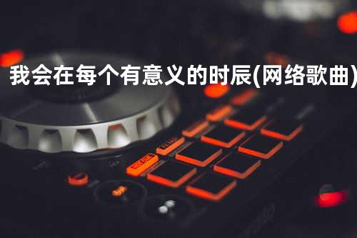我会在每个有意义的时辰(网络歌曲)