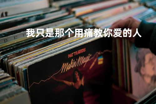 我只是那个用痛教你爱的人