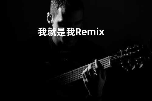 我就是我 Remix