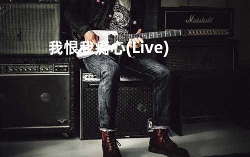 我恨我痴心(Live)