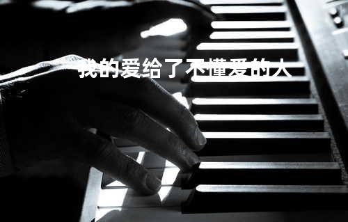 我的爱给了不懂爱的人