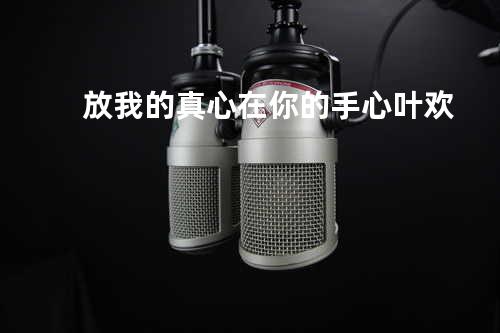 放我的真心在你的手心_叶欢