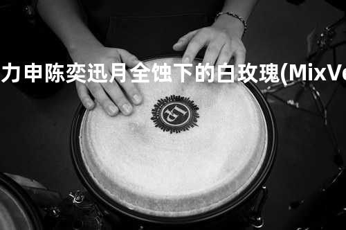 方力申&陈奕迅 - 月全蚀下的白玫瑰(Mix Version)