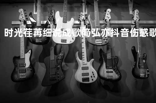 时光荏苒细说成歌 简弘亦 抖音伤感歌曲