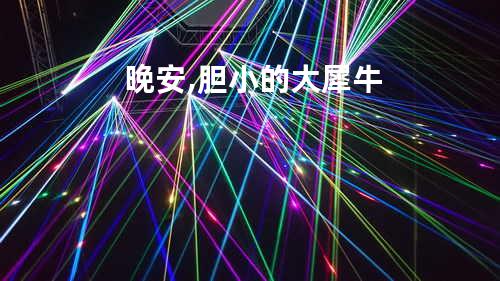 晚安,胆小的大犀牛