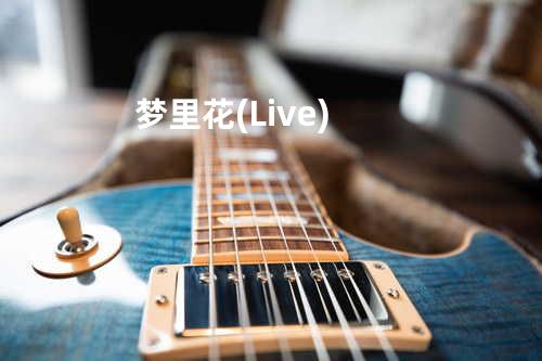 梦里花(Live)