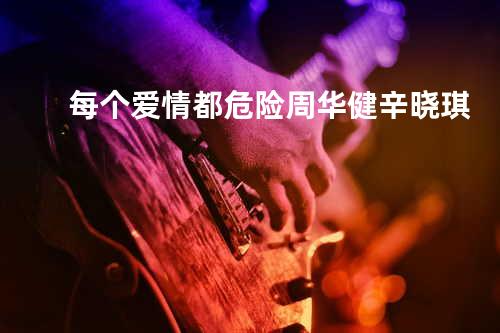 每个爱情都危险 周华健/辛晓琪