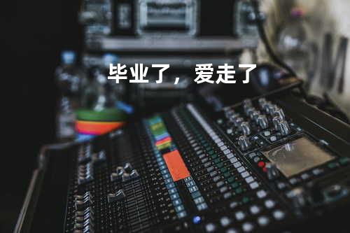 毕业了,爱走了