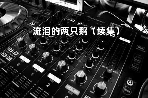 流泪的两只鹅(续集)