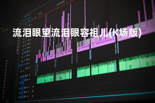 流泪眼望流泪眼-容祖儿(K场版)