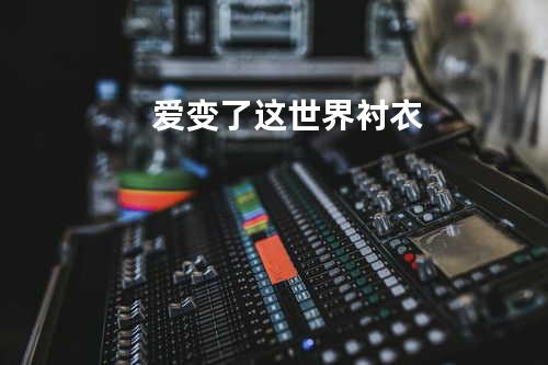 爱变了这世界衬衣