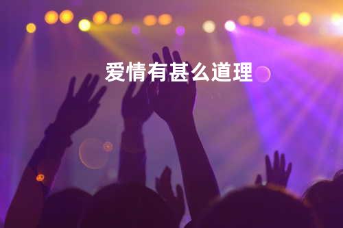 爱情有甚么道理