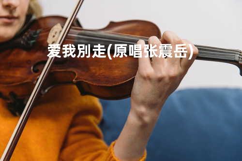 爱我別走 (原唱:张震岳)