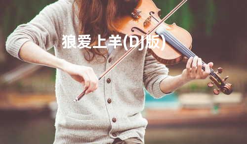 狼爱上羊 (DJ版)