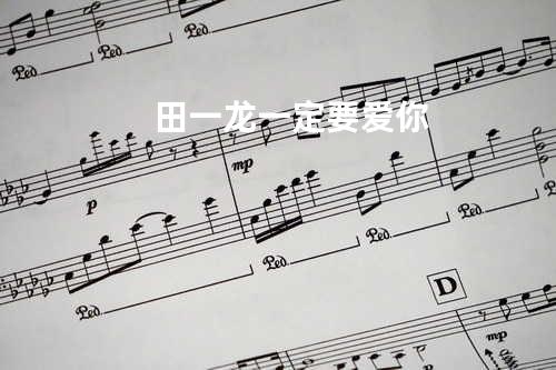 田一龙 - 一定要爱你