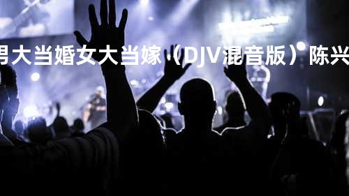 男大当婚女大当嫁(DJV混音版) - 陈兴瑜