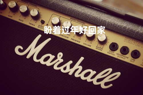 盼着过年好回家