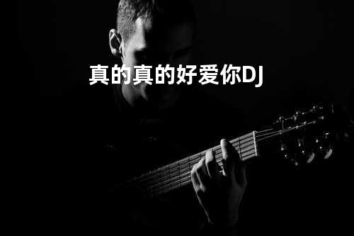 真的真的好爱你-DJ