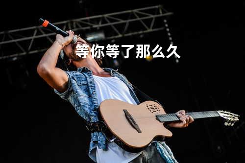 等你等了那么久