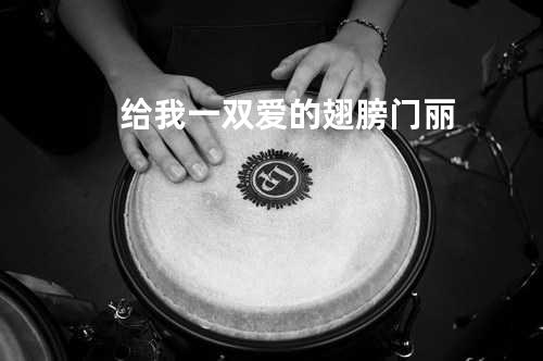 给我一双爱的翅膀-门丽